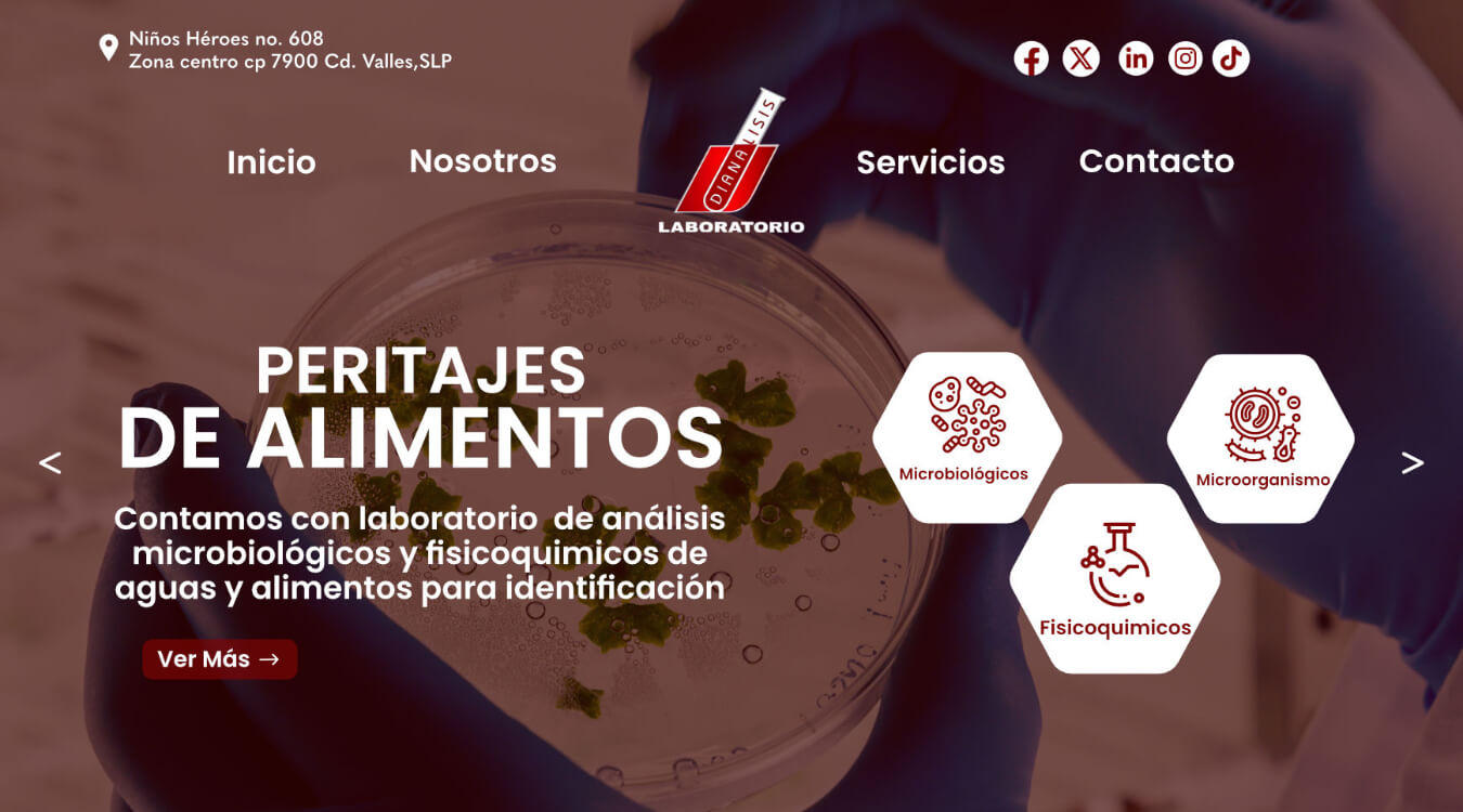 pagina-web-quimica