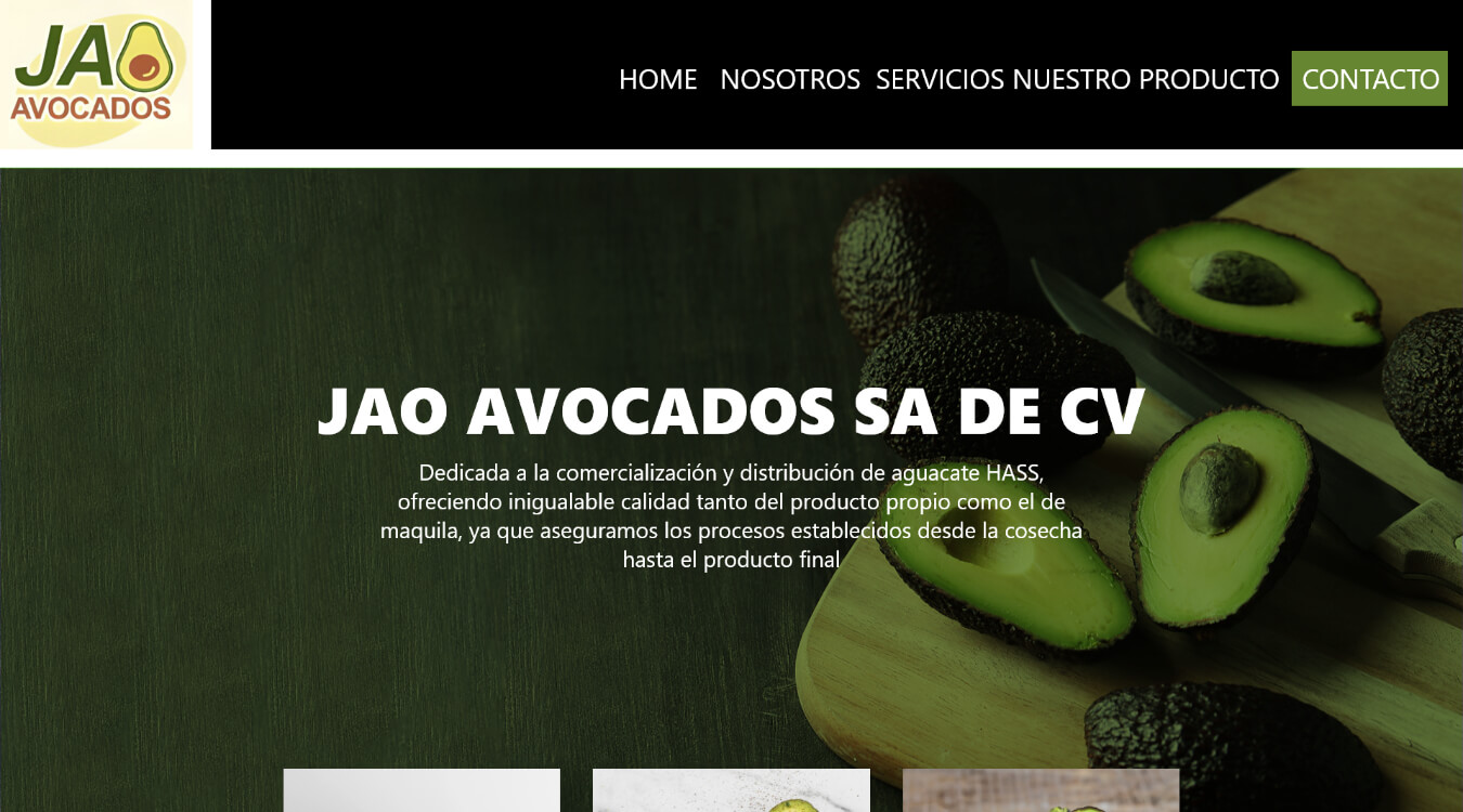 pagina-web-aguacates